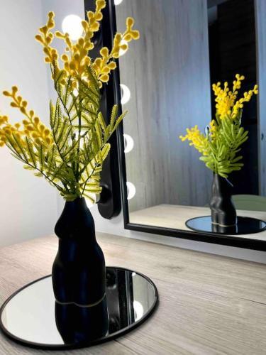 Apartamento Casa Maravillosa