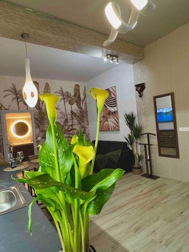 Apartamento Casa Maravillosa