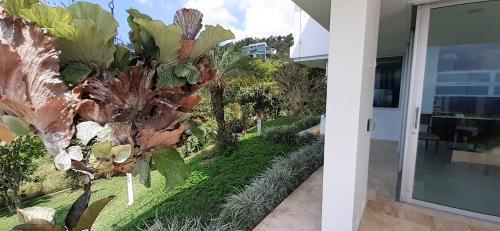 Villa Mirador