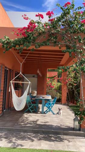 Apartamento Skydivers Nest