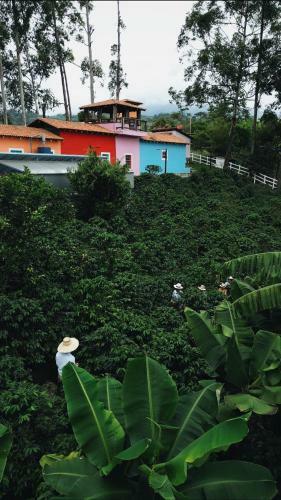La Hermosa Casa Amarilla
