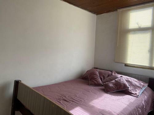 Albergue Backpackers - La Terraza