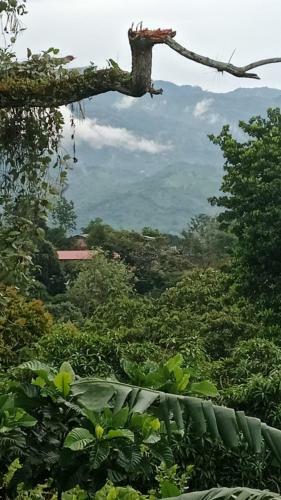 Lodge Finca El Mirador