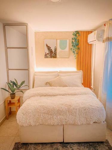Apartamento Madrigal Luxury Loft M01