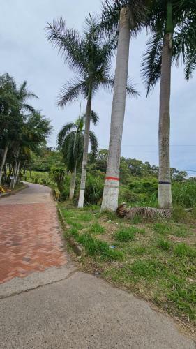 Hostal Del Descanso Estad�a Primaveral