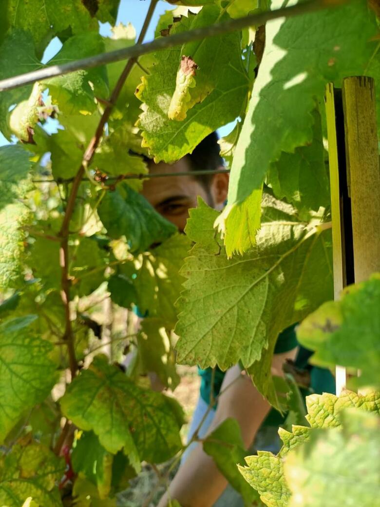 Agroturismo Quinta Do Outeiro 1598