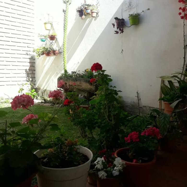 Hotel Hostal Amancay