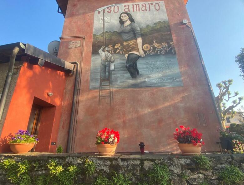 Apartamento La Casa Rosa Di Riso Amaro