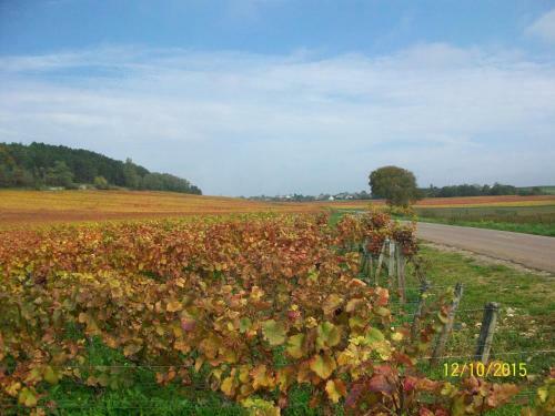 Holiday Home G�te Des Hautes C�tes De Beaune