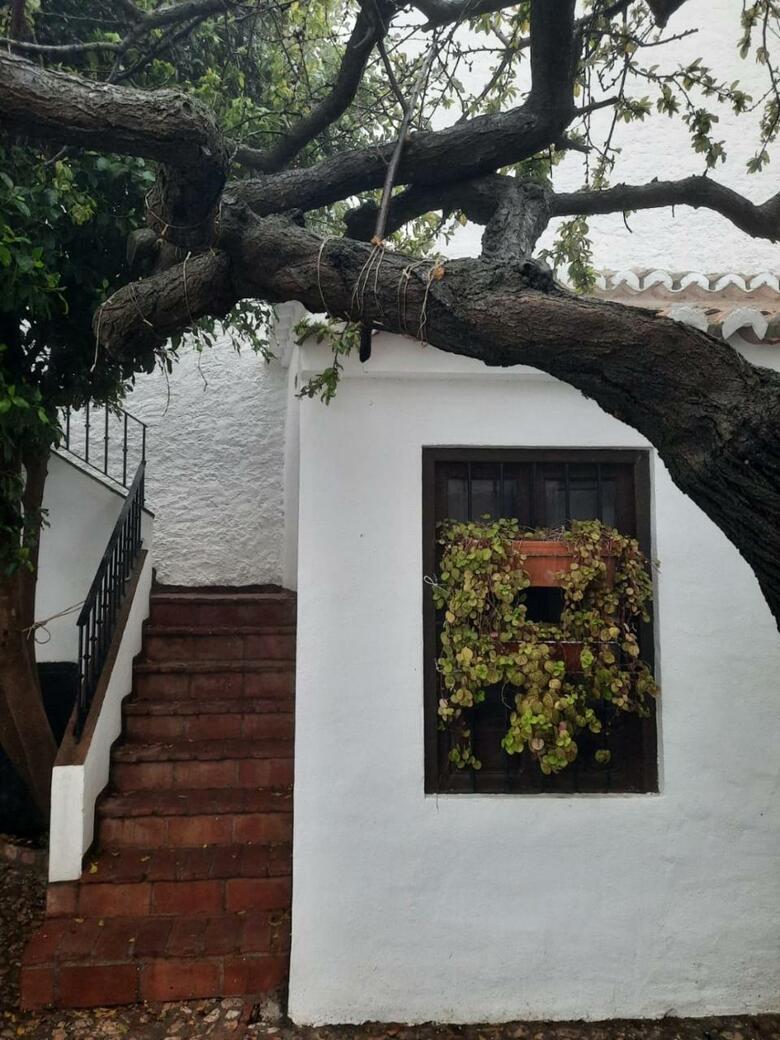 Hotel Rural Verde Oliva