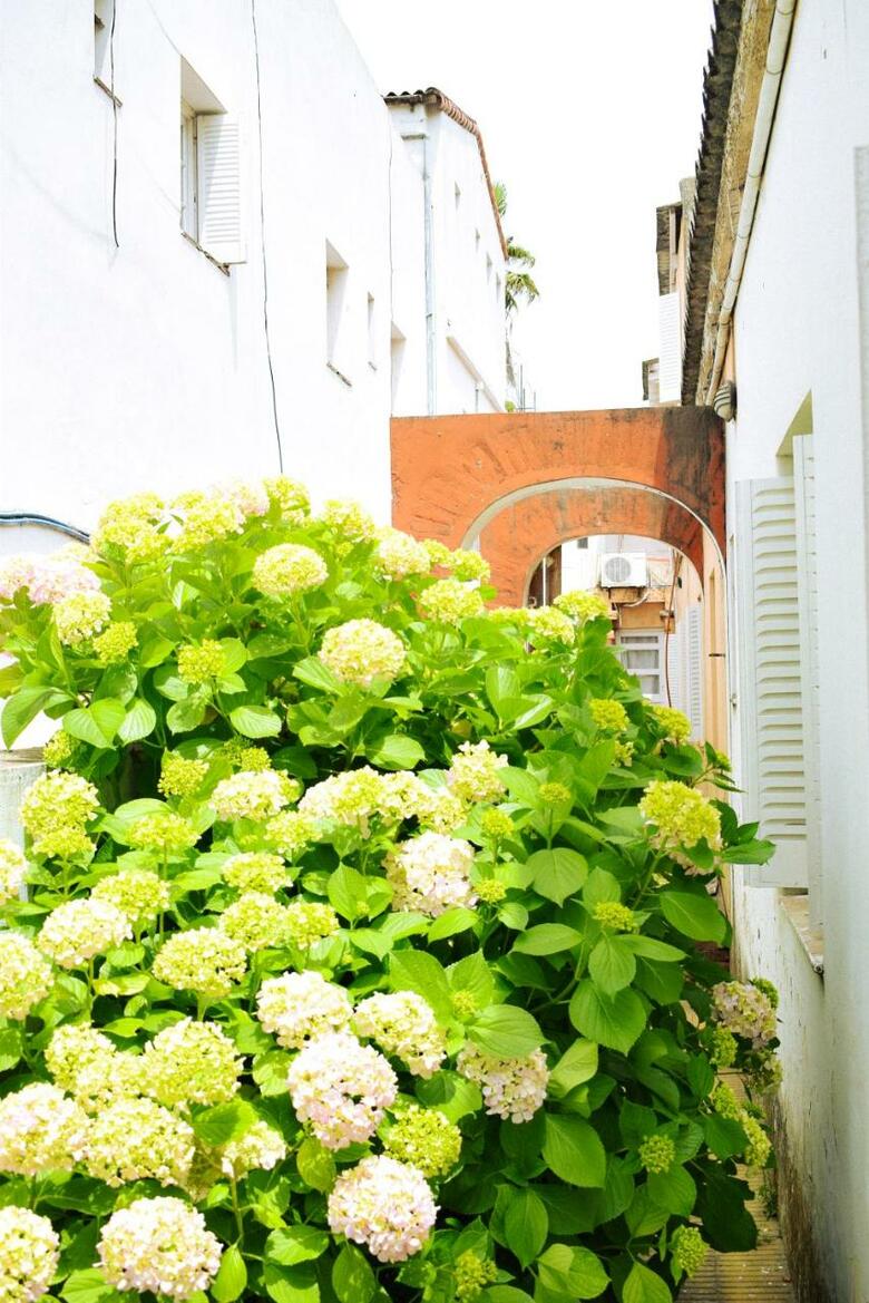 Apartamento Hotel Palikao