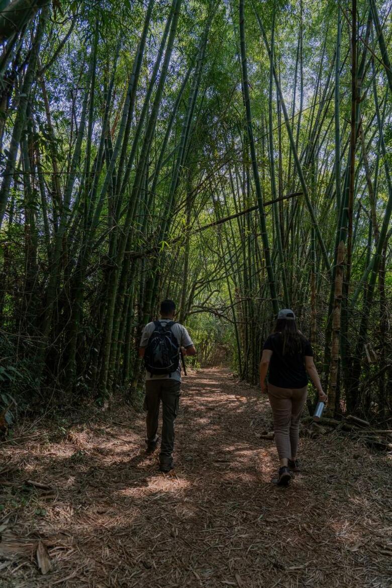 Hotel Reserva Natural Iguaz� - Pristine Luxury Camp