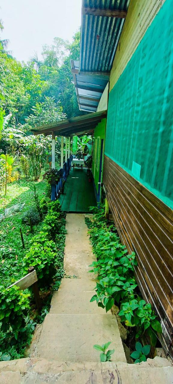 Hostal Hotel Tat�ane Mundo Amaz�nico