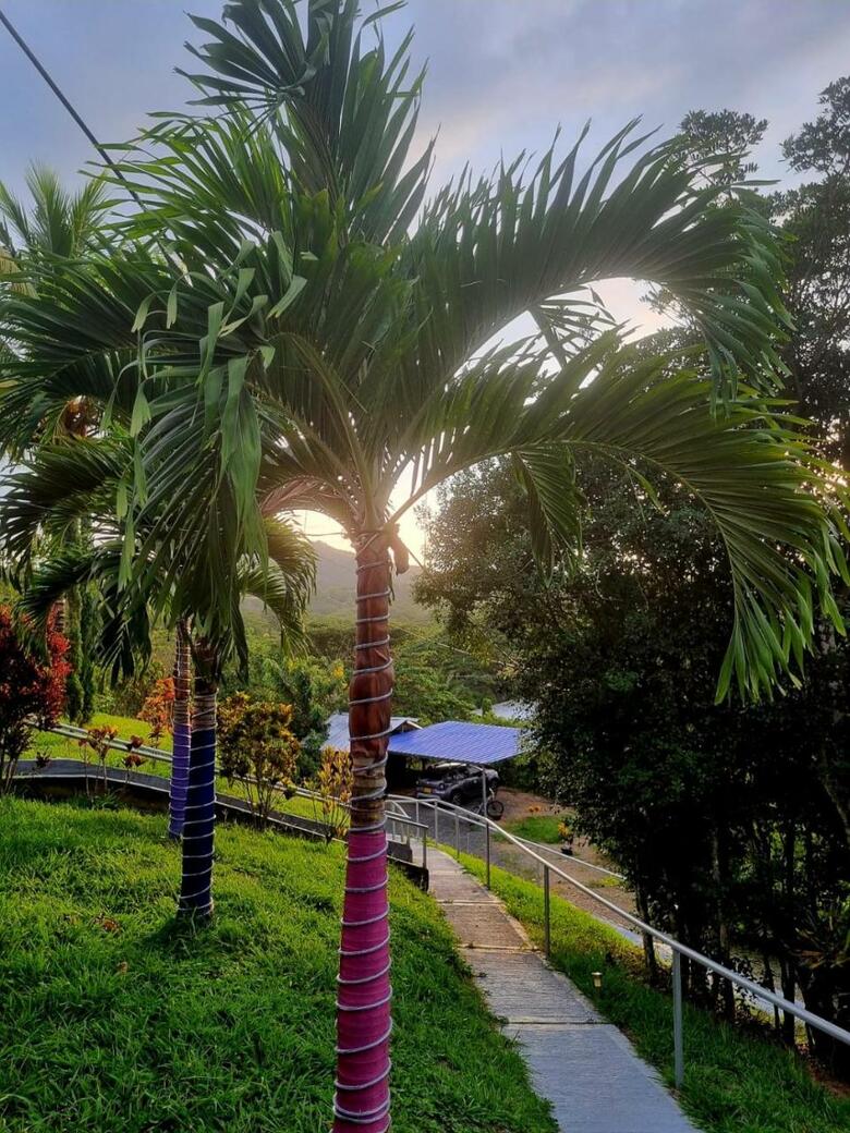 Finca Hotel La Esmeralda Zarzal