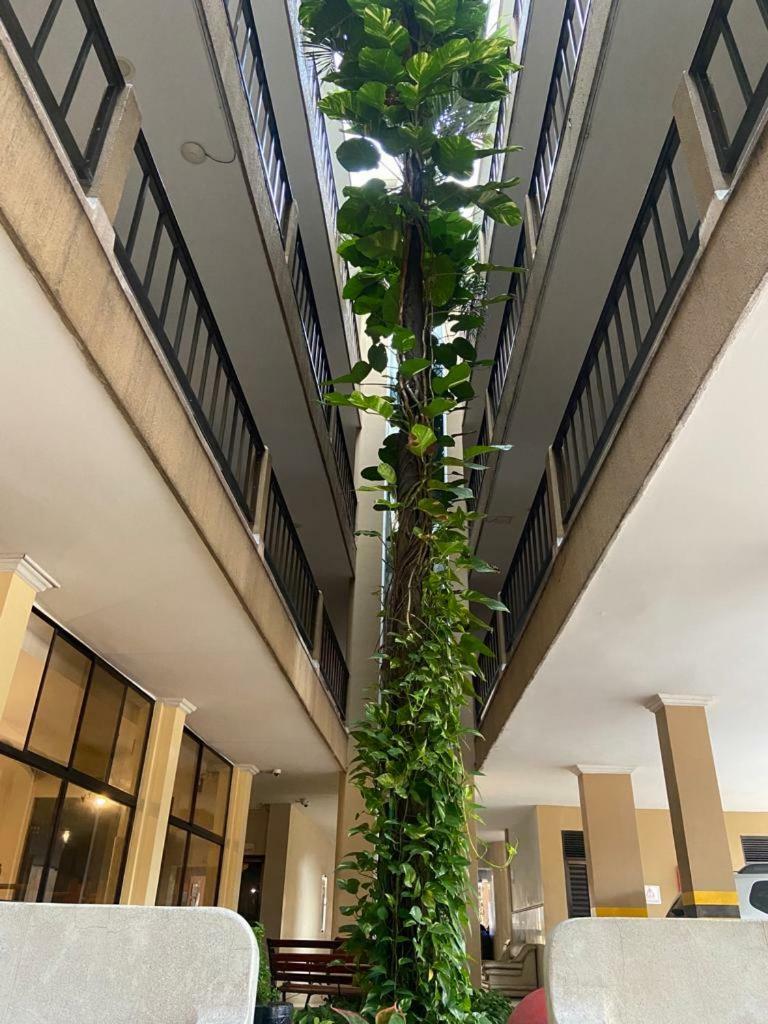 Hotel Sanfrancisco De Asis