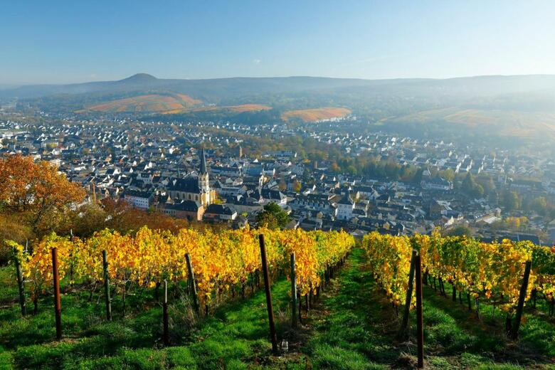 Hotel Am Wei�en Turm
