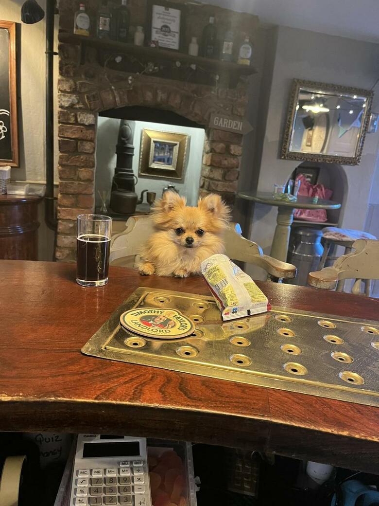 Bed & Breakfast The Ilchester Arms Hotel