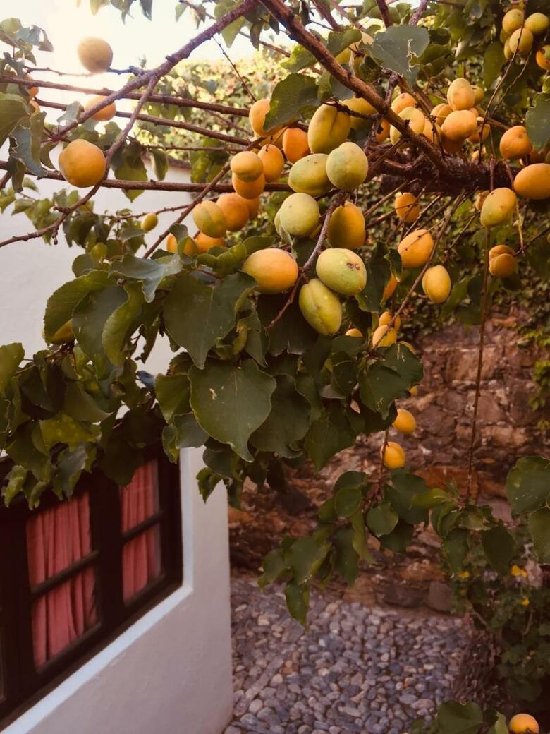 Hotel El �ngel Y El Coraz�n