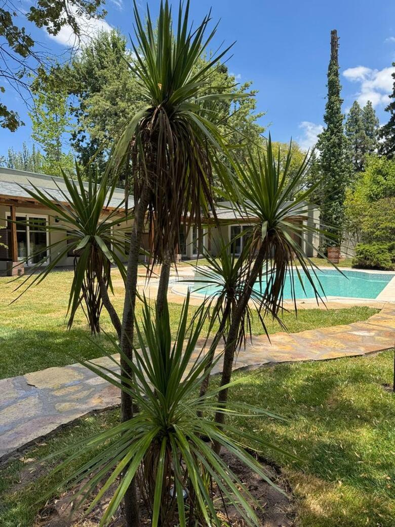 Hotel Casa Haydee