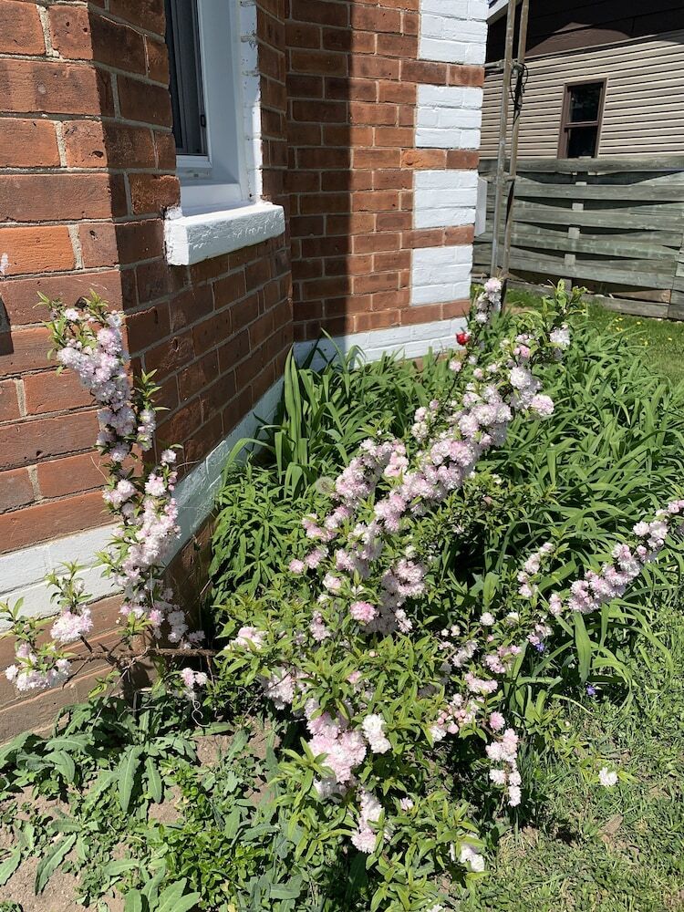 Emily's Place B&B