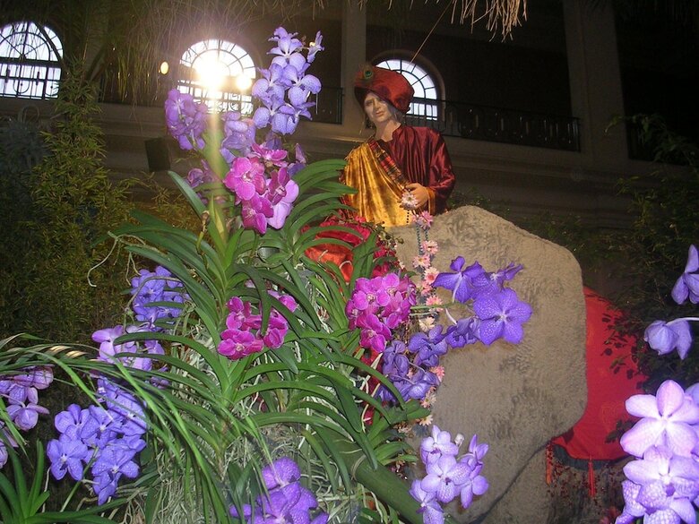 Hotel H�tel Alexandra