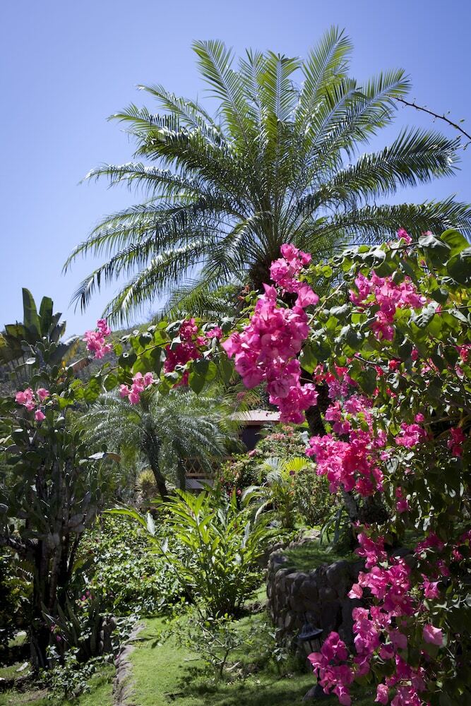 Hotel El Jard�n