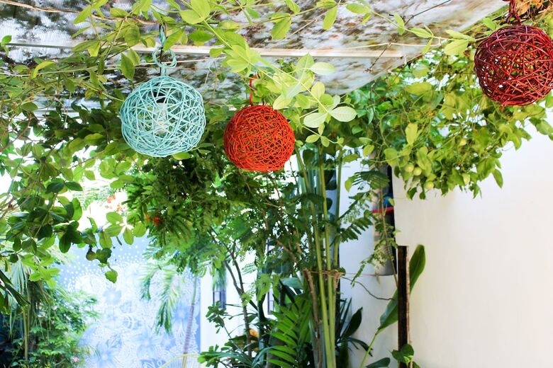 Vainilla B&B Mexico