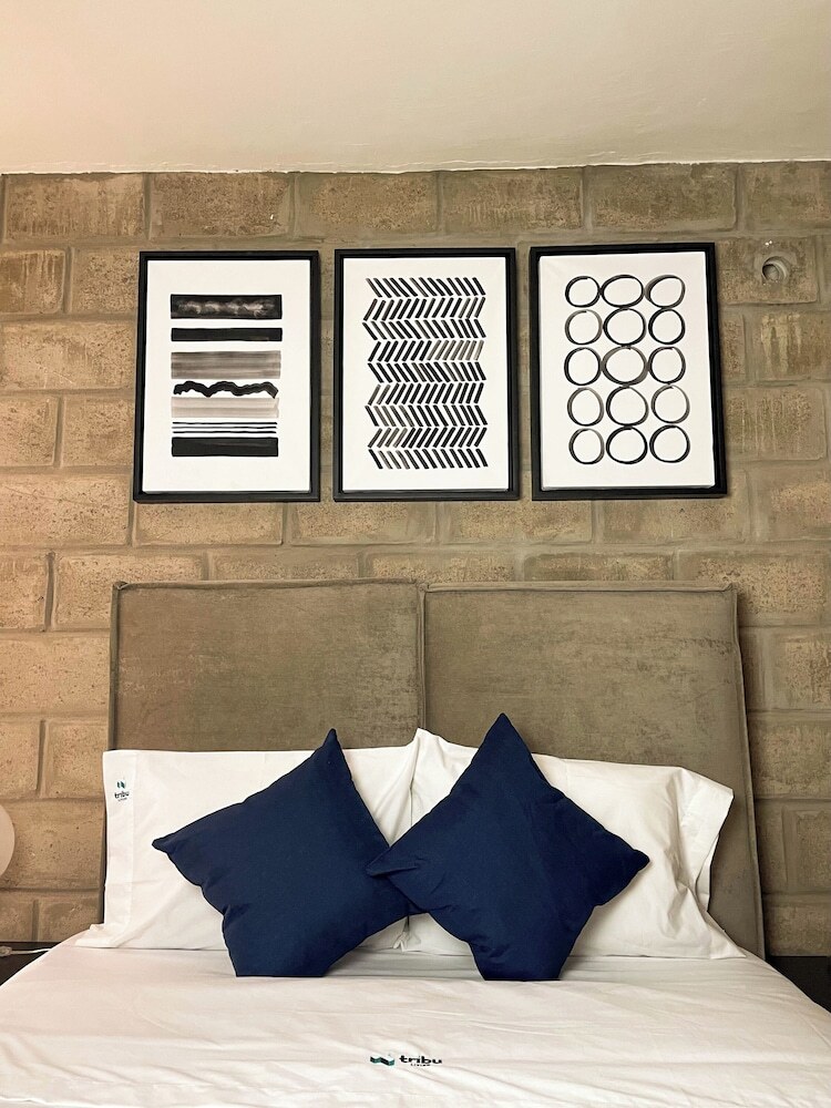 Apartamentos Tribu Centro Hist�rico