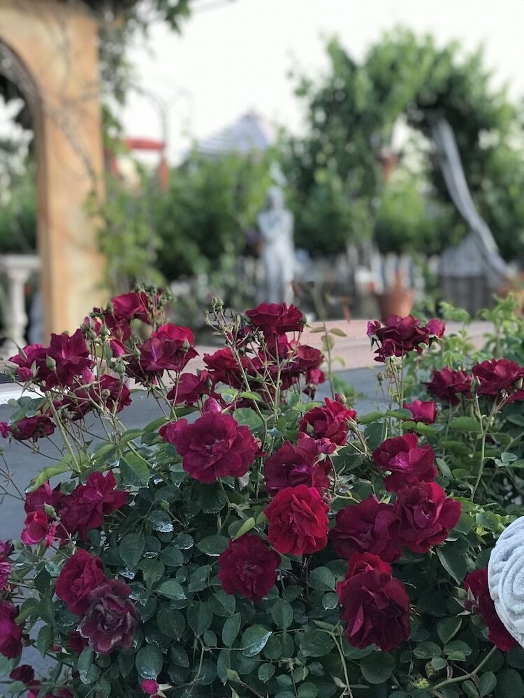 Hotel Chardonnay Lodge