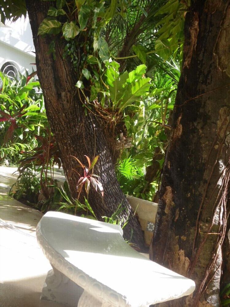 Hotel Tropical Casablanca Party Zone