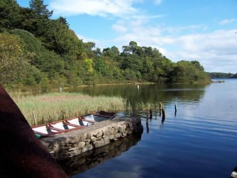 Bed & Breakfast Currarevagh House