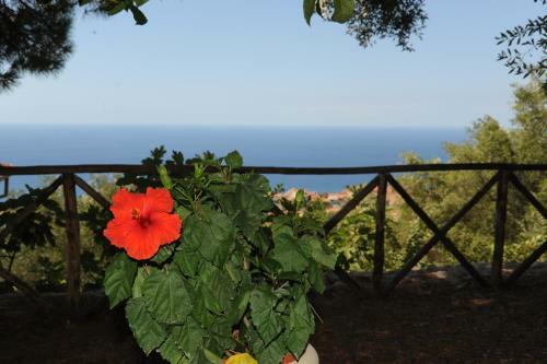 Agroturismo Agriturismo La Focazza