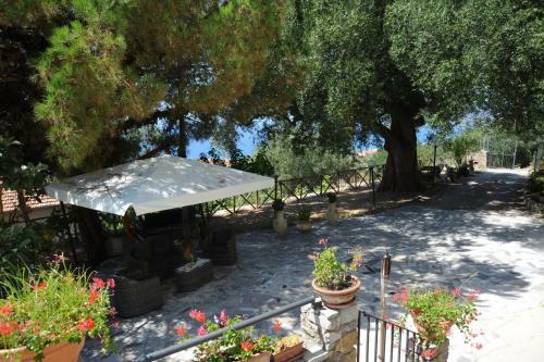 Agroturismo Agriturismo La Focazza