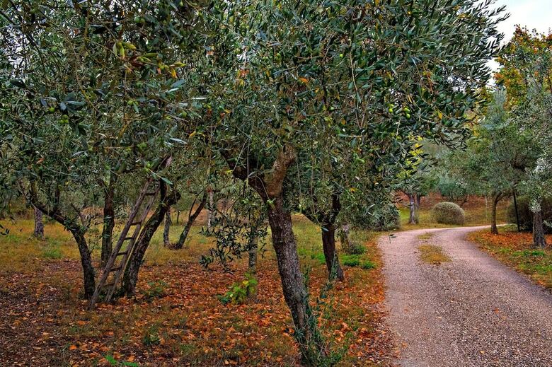 Agroturismo Setter House Agri Hotel