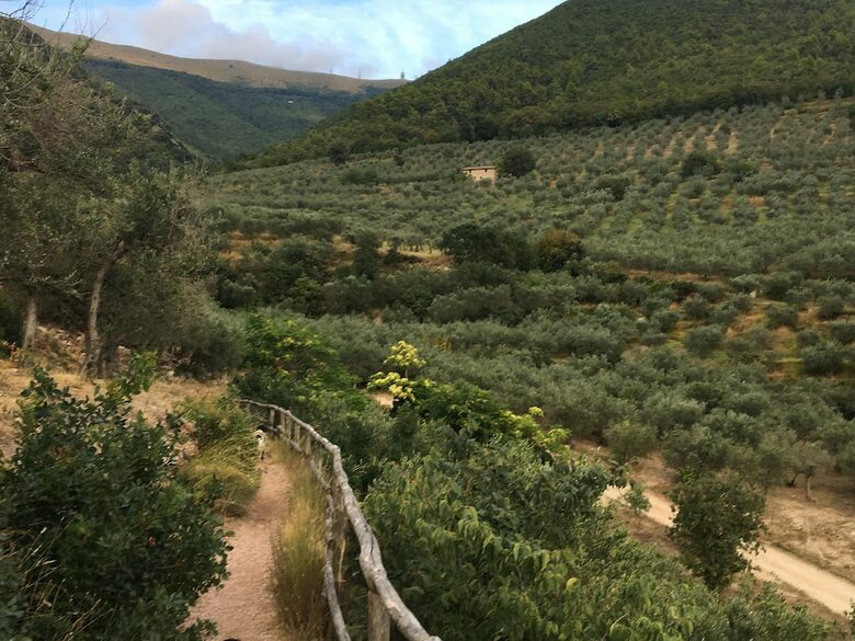 Agroturismo Setter House Agri Hotel