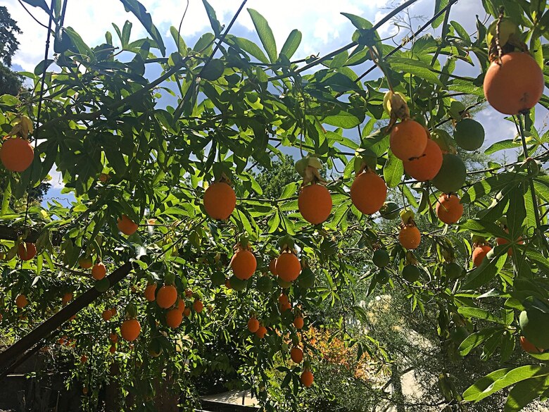 Agroturismo Setter House Agri Hotel