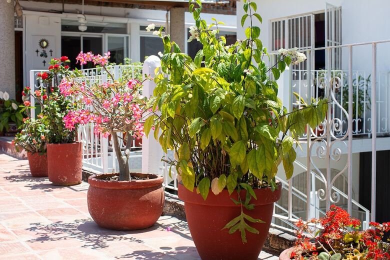 Hotel Casitas Miramar Puerto Vallarta Malec�n