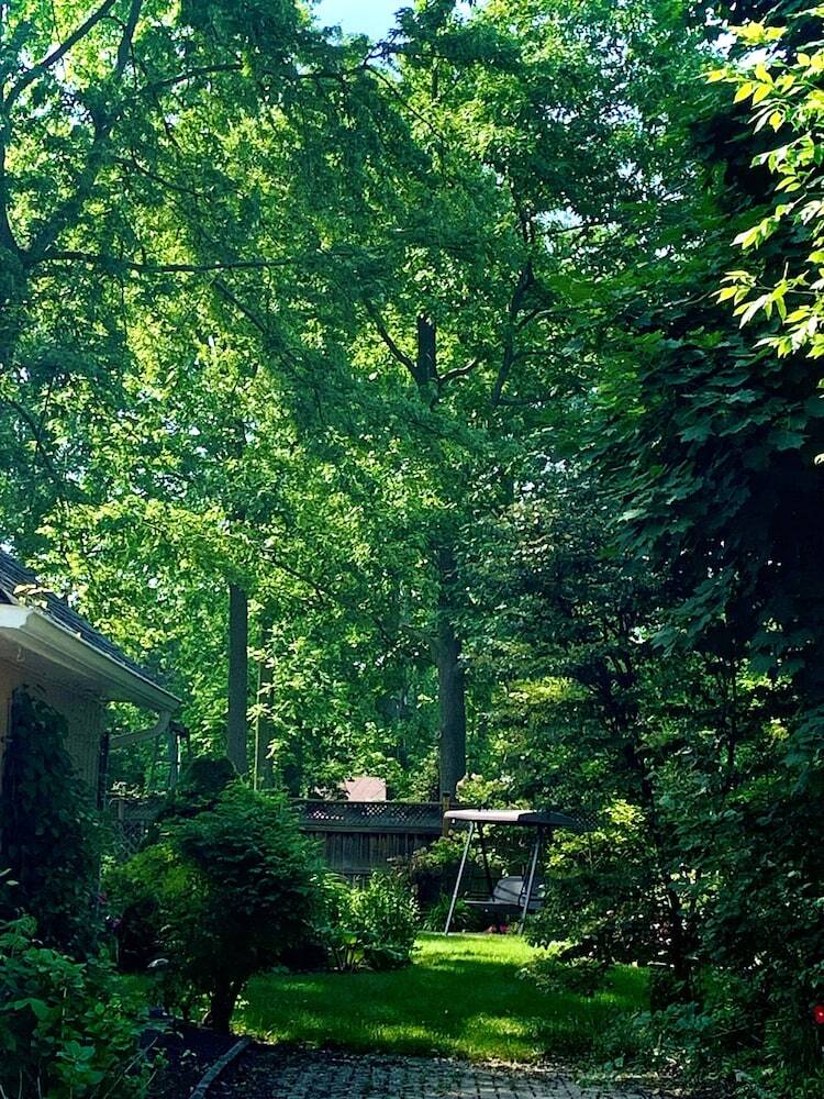 Matisse Bed & Breakfast