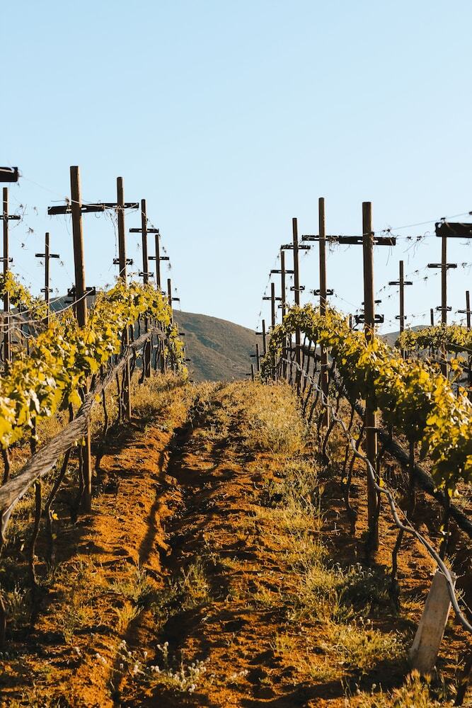 Hotel Origen75