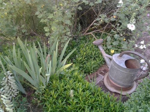 Bed & Breakfast La Closerie Du Bucher