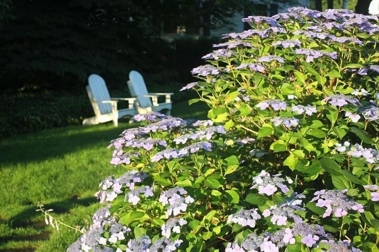 Captain David Kelley House Bed & Breakfast