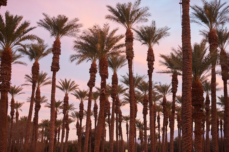 Palm Springs Rv Resort
