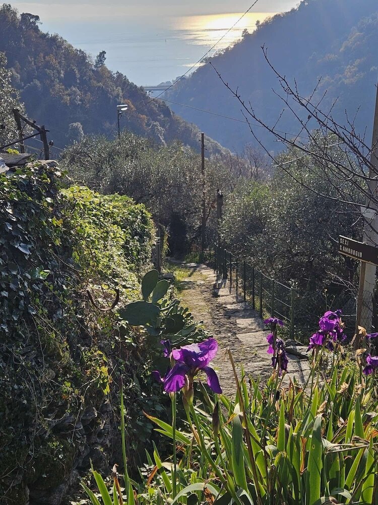 Hotel Monte Rosa