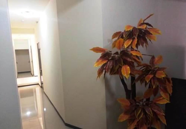 Hotel Real Jaguar