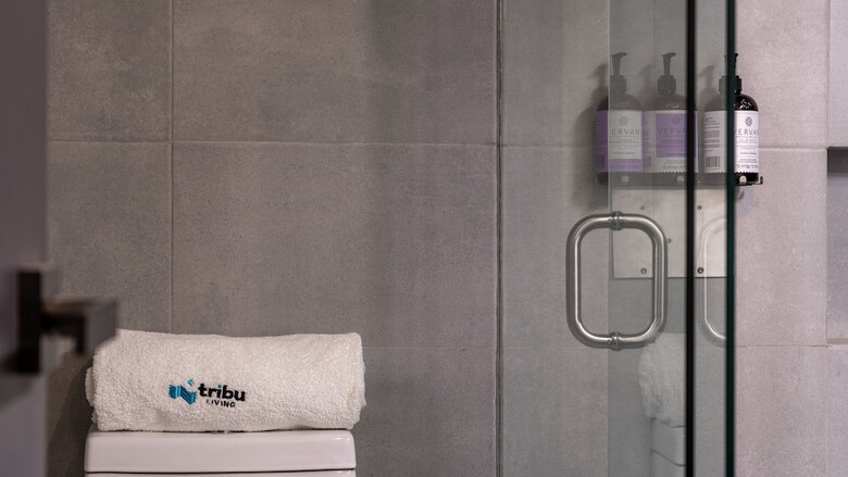 Apartamentos Tribu San Mart�n Chapultepec