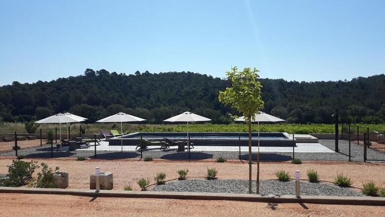 Sous Les Pins
