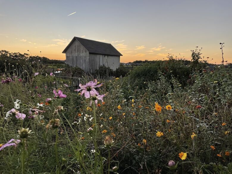 The Farmhouse Bed And Breakfast