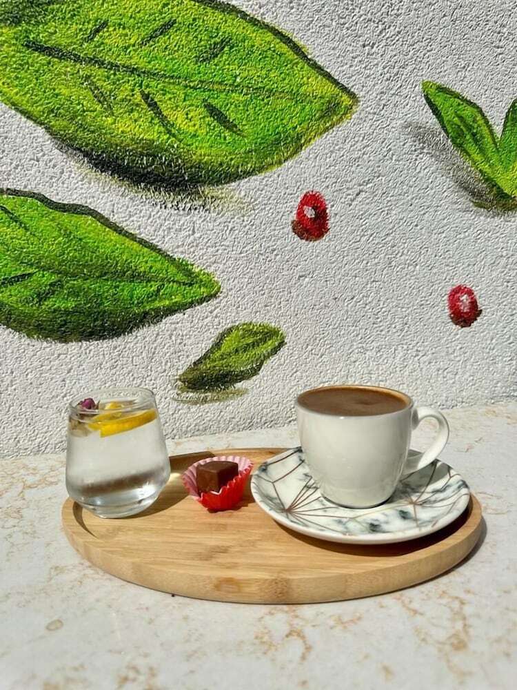 Hotel Elegance House