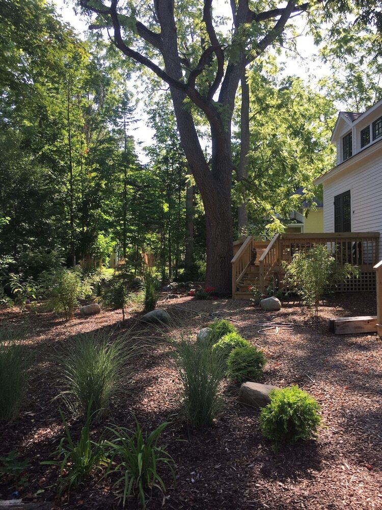 Bed & Breakfast Judson Heath Colonial Inn
