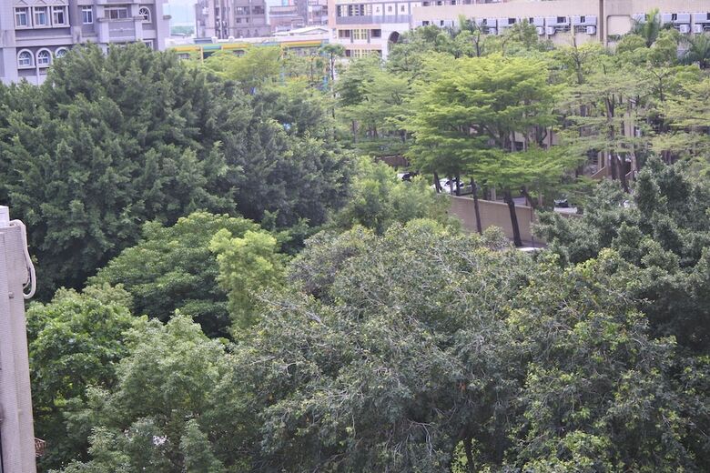 Aparthotel Tianmu Star Hotel